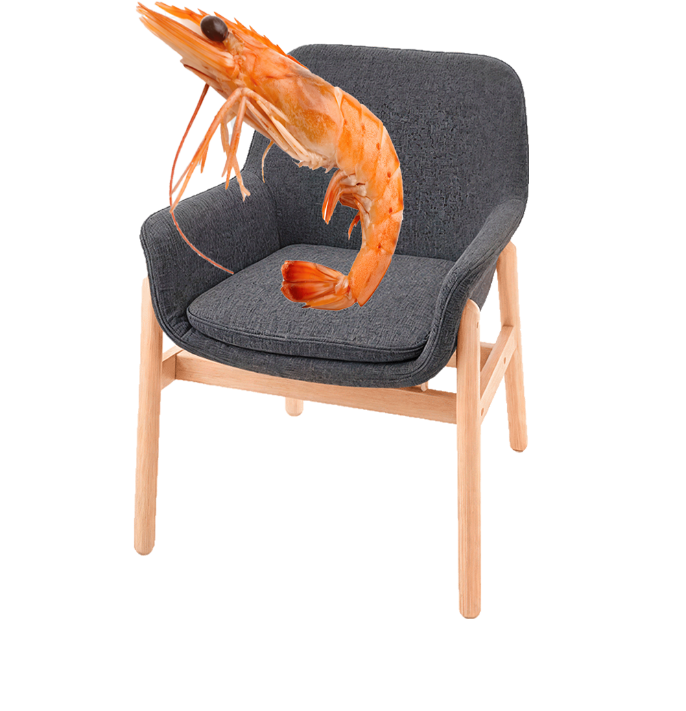 Chair Image